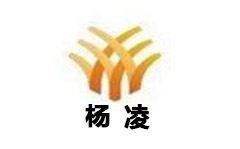 杨凌综合频道